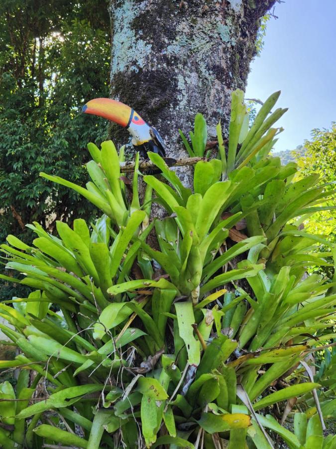 Hospedaria E Camping Quintal Do Mundo Lumiar Exterior foto